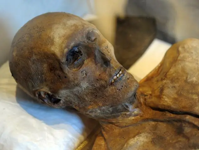 Как выглядит креп-мирт?