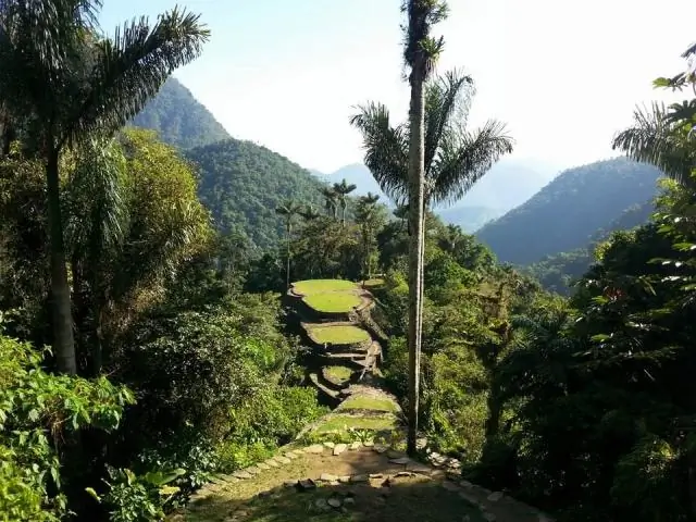 Сколько стоит поход в Затерянный город?