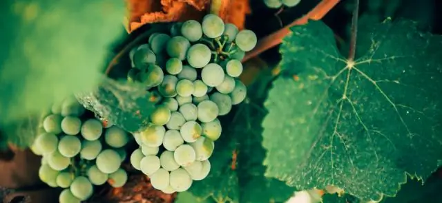 Какая страна больше всего посещает Испанию?