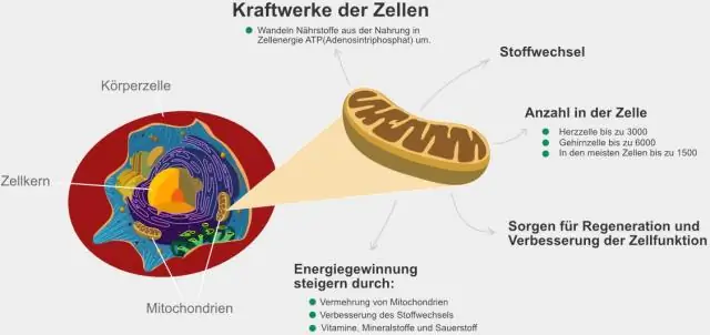 Всегда ли дистиллированная вода является гипотонической для какой-либо клетки?