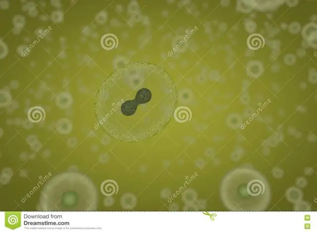 Диффузия гипотоническая?