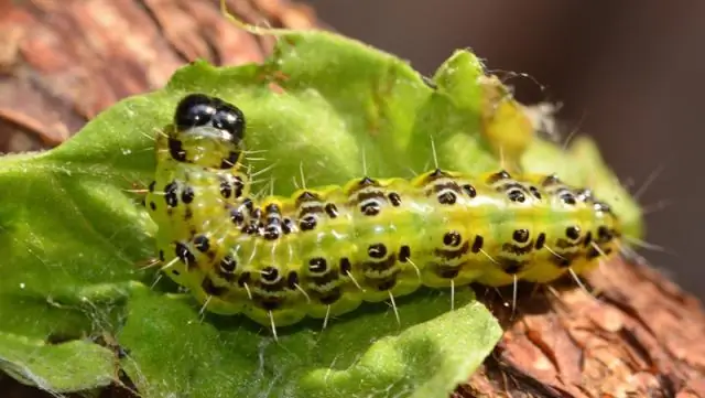 Есть ли герметик для затирки?