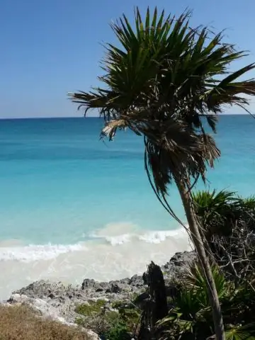 Какой климат на Огненной Земле?