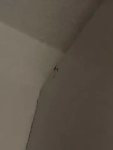 Что нужно для похода?