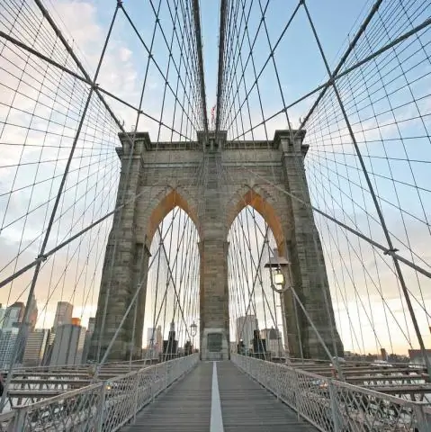 Как Соединенные Штаты вмешались в венесуэльский кризис 1895 года?