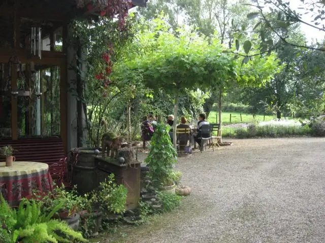 Каким видом текстильного искусства была наиболее известна культура Паракас?