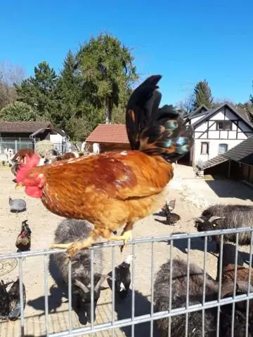 Как монтировать электрическую коробку?