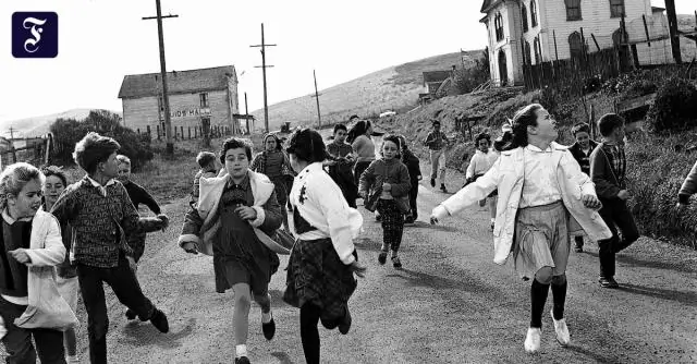 Что могут делать дети в заливе Бодега?