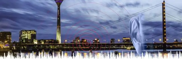 Что представляет собой тики маори?