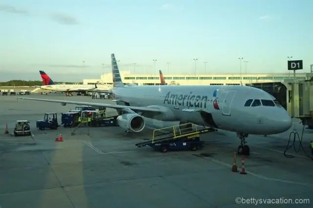 Могу ли я взять телевизор на рейс American Airlines?