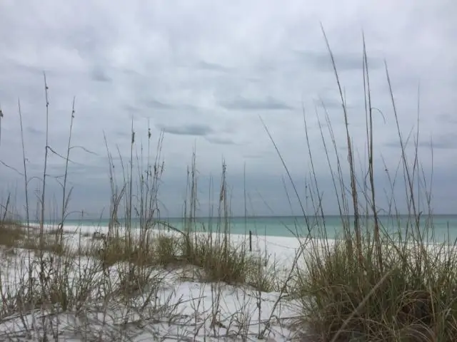 Миссисипи на час впереди Алабамы?