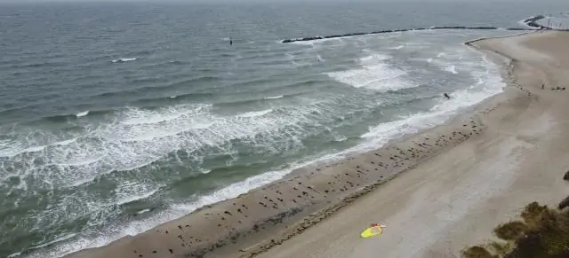 Вы умеете плавать на пляжах Миссисипи?