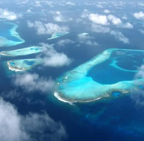 Кто управляет круизным лайнером?