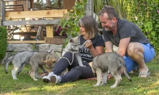 Как мне упаковать свой дом за 3 недели?