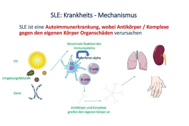 Что такое китайская цивилизация?