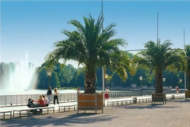 Пайнкрест - это город?