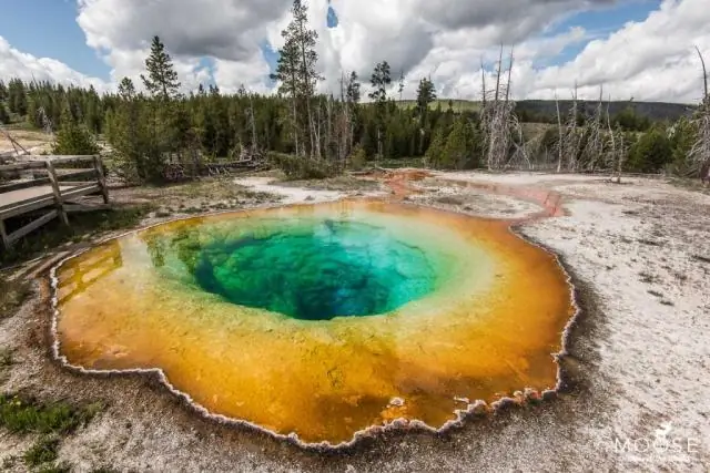 Сколько горячих источников в Йеллоустоне?