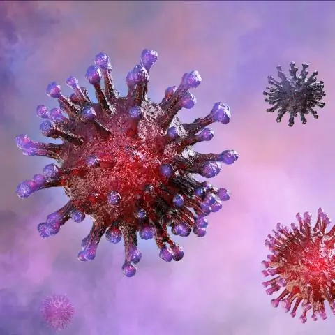 Приедут ли BTS в Окленд?