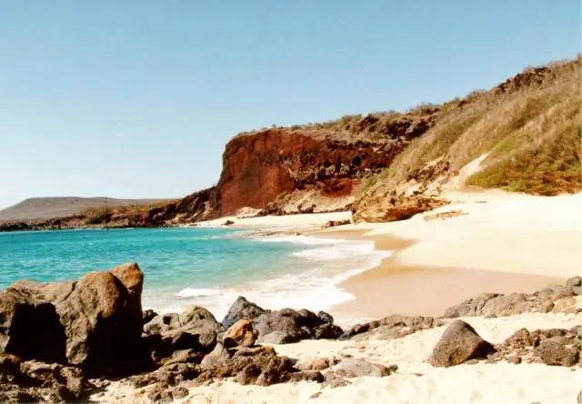 Что разрешено в авиакомпаниях Alaska Airlines?