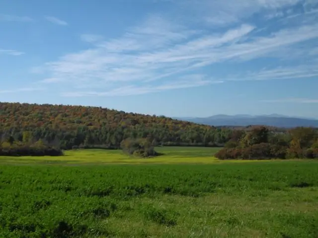 Время в Саут-Бенде, штат Индиана, восточное или центральное?