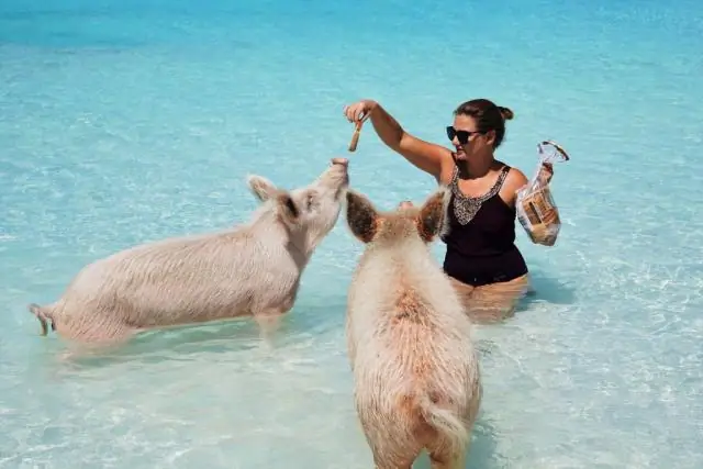 Ты умеешь плавать на пляже Сэндгейт?