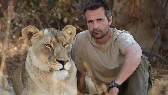 Как вы датируете плиту Coleman?