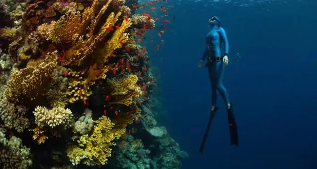 Какую одежду взять с собой в Прагу в мае?