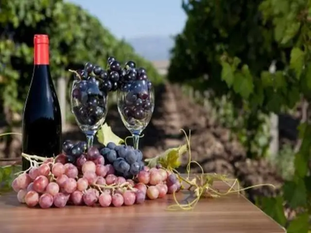 Какие 5 стран-производителей вина входят в первую пятерку?