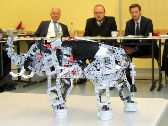 Что символизировал сундук Эсперансы?