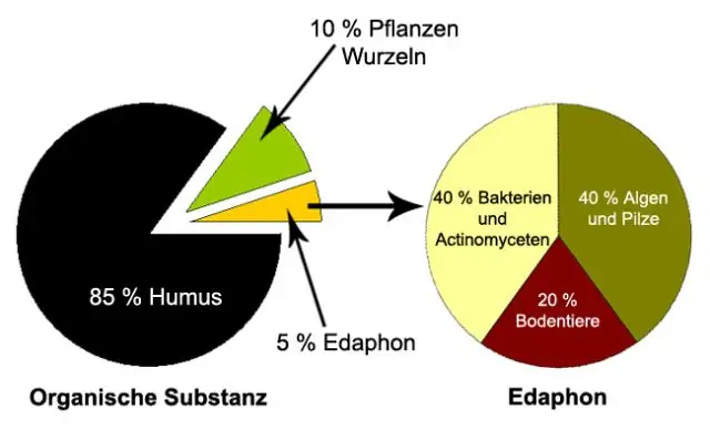 Какие составляющие экотуризма?
