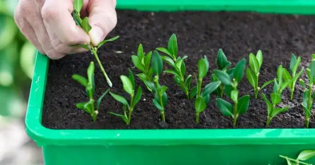 Как мне найти самые дешевые направления в аэропорт?