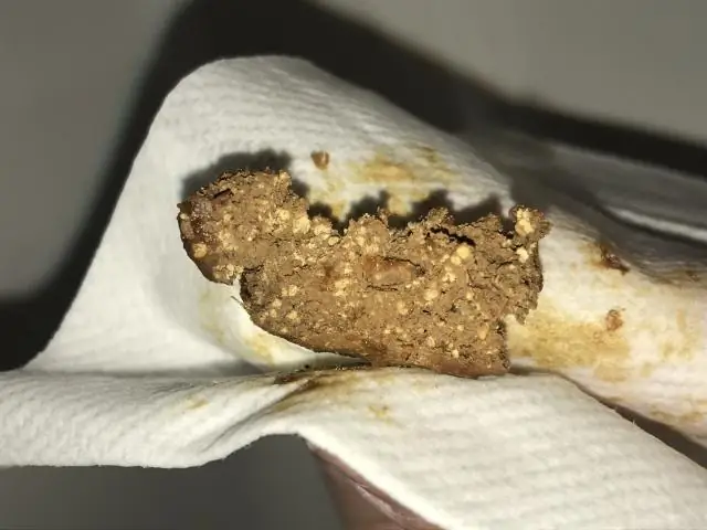 Как выглядит ицамна?