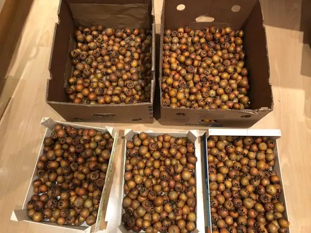 В Ванкувер весь день идет дождь?