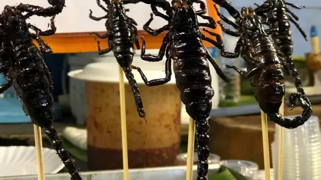 Безопасно ли есть скорпионов в Таиланде?
