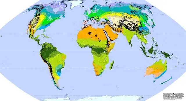 Находятся ли Гавайи в северном или южном полушарии?