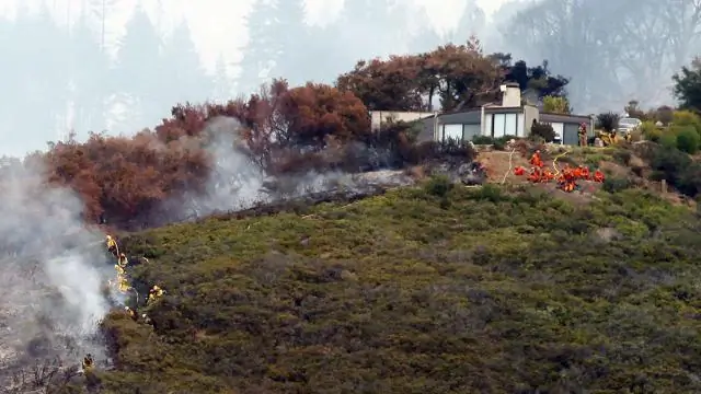 Разрешены ли пожары в Биг-Суре?