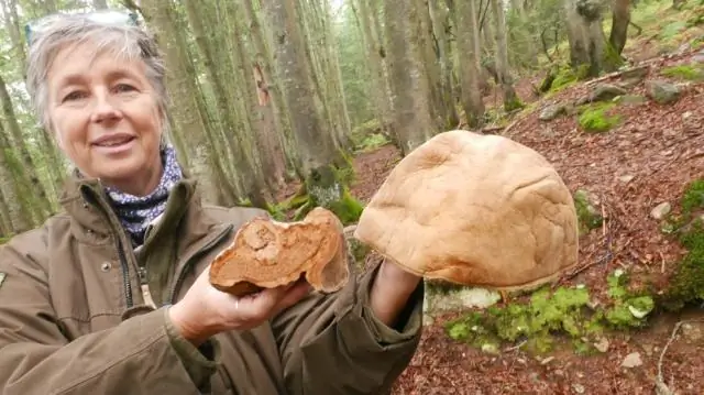 Что хорошо растет с сахарным горошком?