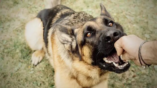 Какой самый популярный размер плитки метро?