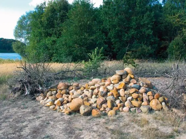 Едят ли рыбы лишайник?