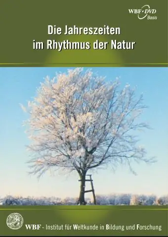 Есть ли у «четырех сезонов» военные скидки?