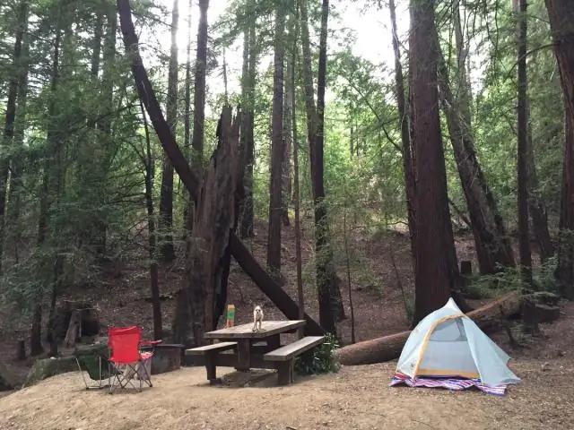 Как мне забронировать кемпинг Big Sur?