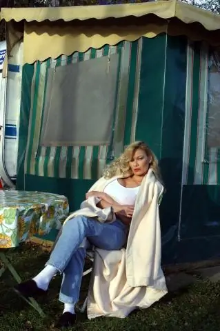 Что такое фламинго во множественном числе?