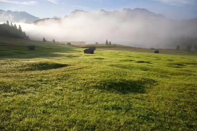 Что такое Дельта и где она водится?