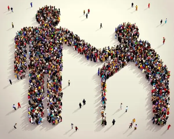 Сколько глав в образованном мемуаре?