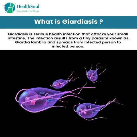 Как дезинфицировать после лямблий?