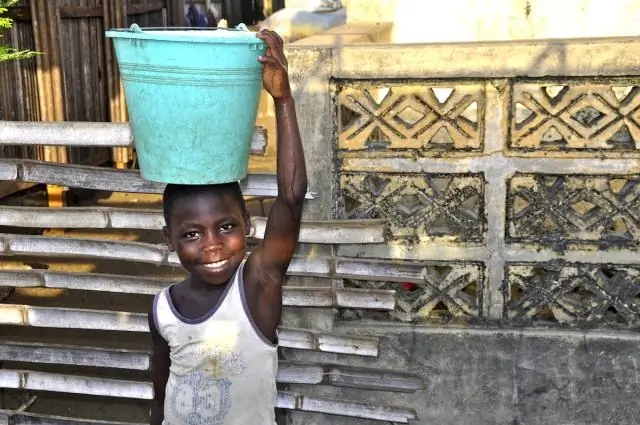 Что подарить любителям природы?