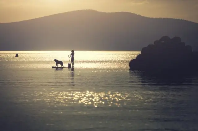 Как работают сиденья унитаза с медленным закрытием?