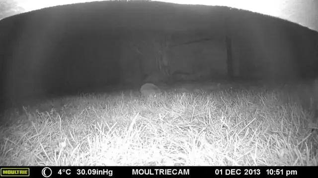 Что я могу сделать, если кто-то продолжает вторгаться в мою собственность?