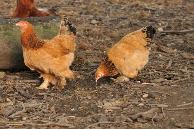 Как удалить песок с ног?