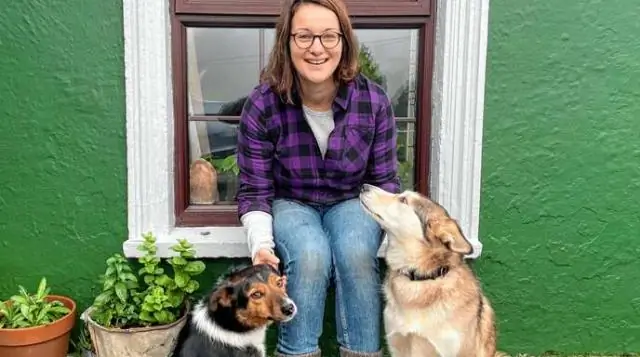 Кто поселился в северо-восточном регионе?